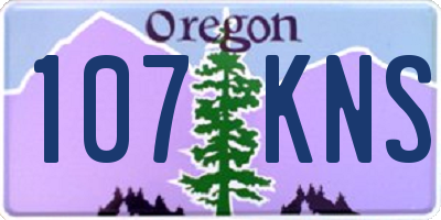 OR license plate 107KNS