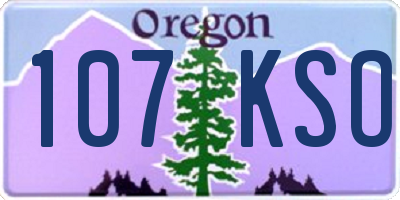 OR license plate 107KSO