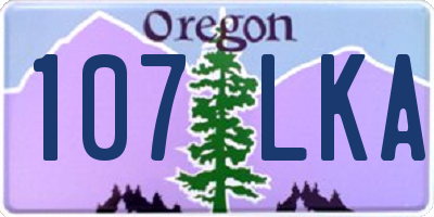 OR license plate 107LKA