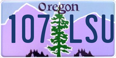 OR license plate 107LSU