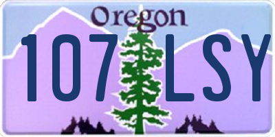 OR license plate 107LSY