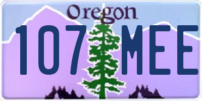 OR license plate 107MEE