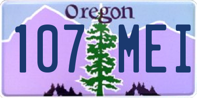 OR license plate 107MEI