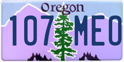 OR license plate 107MEO