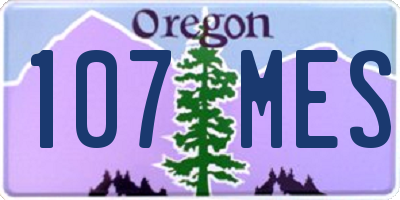 OR license plate 107MES
