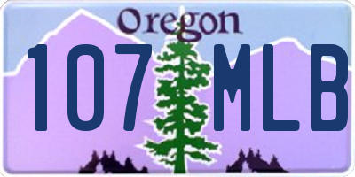 OR license plate 107MLB