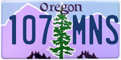 OR license plate 107MNS