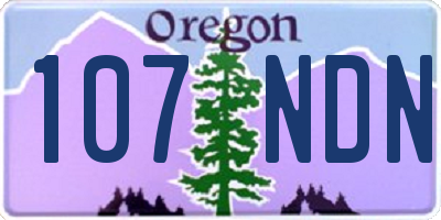 OR license plate 107NDN
