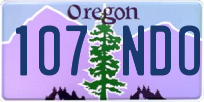 OR license plate 107NDO