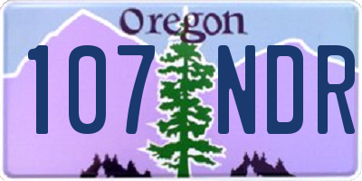 OR license plate 107NDR
