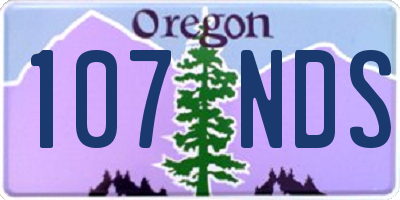 OR license plate 107NDS