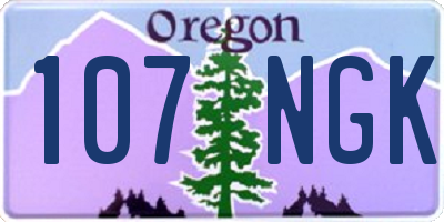 OR license plate 107NGK