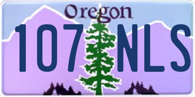 OR license plate 107NLS