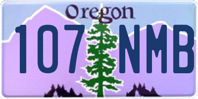 OR license plate 107NMB