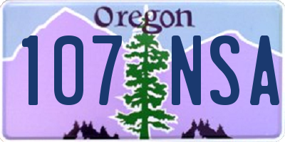 OR license plate 107NSA