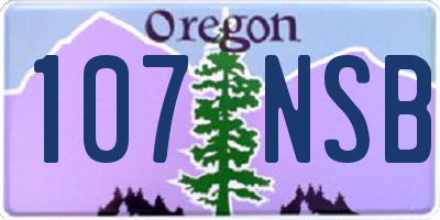 OR license plate 107NSB