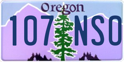 OR license plate 107NSO
