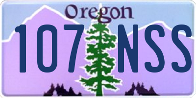 OR license plate 107NSS