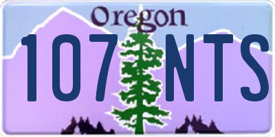 OR license plate 107NTS