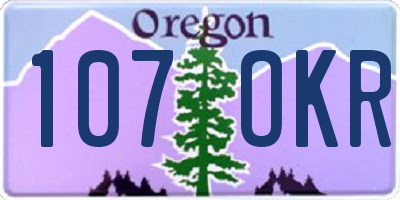 OR license plate 107OKR