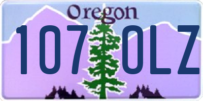 OR license plate 107OLZ