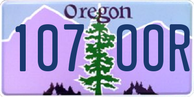 OR license plate 107OOR