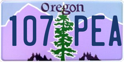 OR license plate 107PEA