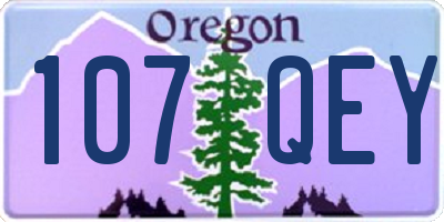 OR license plate 107QEY