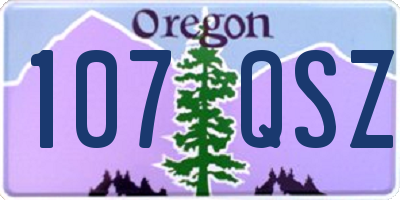 OR license plate 107QSZ