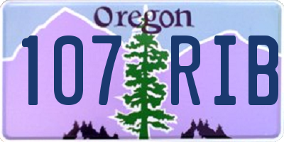 OR license plate 107RIB