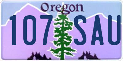 OR license plate 107SAU