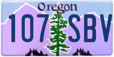 OR license plate 107SBV
