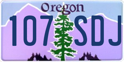 OR license plate 107SDJ