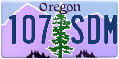 OR license plate 107SDM