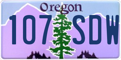 OR license plate 107SDW