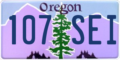 OR license plate 107SEI