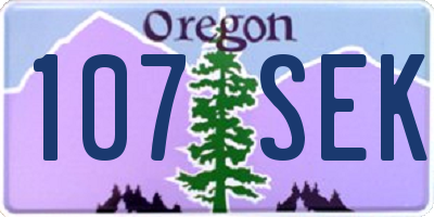 OR license plate 107SEK