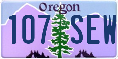 OR license plate 107SEW