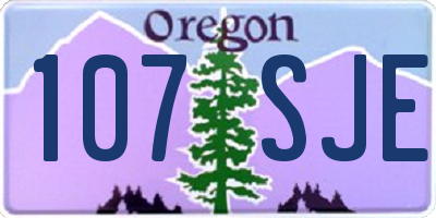 OR license plate 107SJE