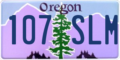 OR license plate 107SLM