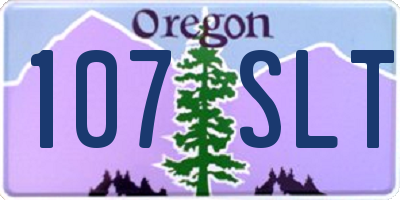 OR license plate 107SLT