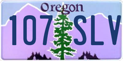 OR license plate 107SLV