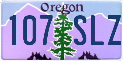 OR license plate 107SLZ