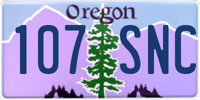 OR license plate 107SNC