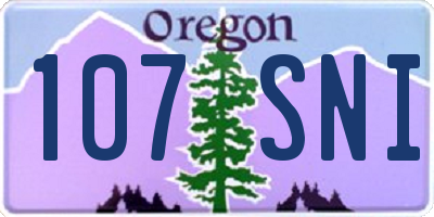 OR license plate 107SNI