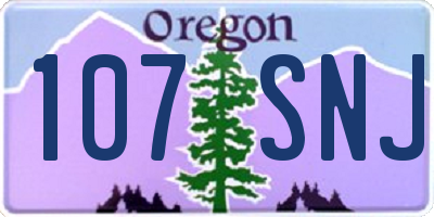 OR license plate 107SNJ