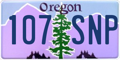 OR license plate 107SNP
