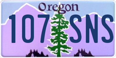 OR license plate 107SNS