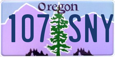 OR license plate 107SNY