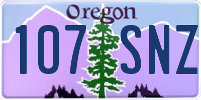 OR license plate 107SNZ